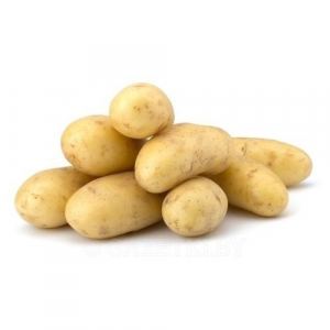 Картофель белый свежий урожай вес. 1 кг.